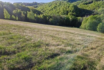Teren intravilan de 33210 mp, în Șinteu - 5