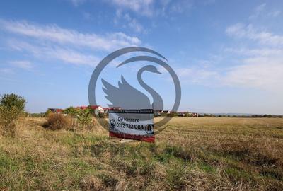 Teren de vanzare | 5050mp | Zona de Nord, Ploiesti | COMI... - 4