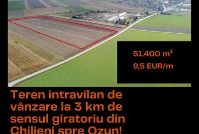 Teren agricol intravilan de 51400 mp, în Ozun