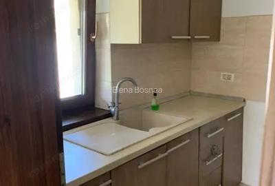 Vila Deosebita 4 Camere Centrala Proprie Zona Giroc Timisoara - 3