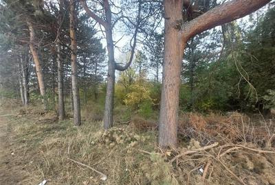 TEREN DE VANZARE 2000 MP IN VECINATATEA RAFO CU DESHIDERE LA SOSEAUA INDUSTRIILO - 5