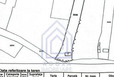 48 ari teren , cu casa batraneasca, Antoceni, Forasti, Sucea - 6