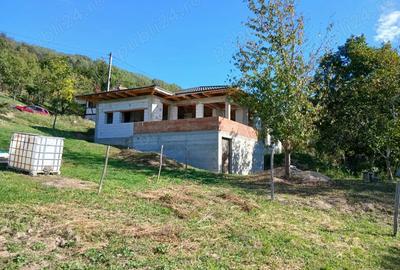 Casa la rosu in cicarlau - 5