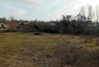 Teren - 7.132 mp zona deosebita , str Alexandru cel Bun - 5