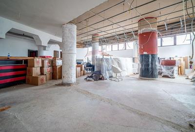 Spațiu comercial, de 210 mp, în Silva - 4