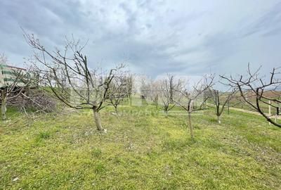 Teren Construcții intravilan de 24 mp, în Lisaura - 3