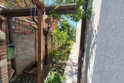 Casă individuală cu 5 camere cu Teren 390 Mp în Bariera Vâlcii - 16