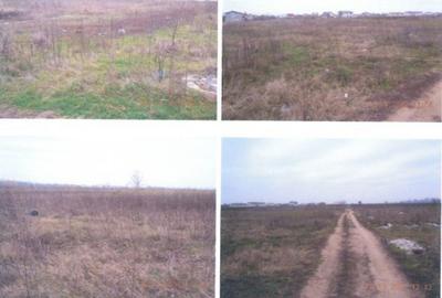 Teren de 4946 mp, în Clinceni - 9