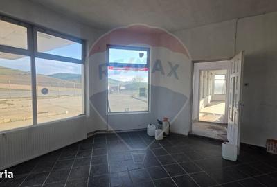 Spațiu comercial, de 400 mp, în Dupuș - 3