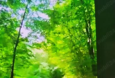 Teren de 800 mp, în Brădetu - 2