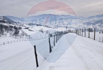 Teren agricol extravilan de 4301 mp, în Bârsana - 5