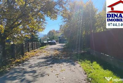 Teren de 3600 mp, în Alexandru cel Bun - 7