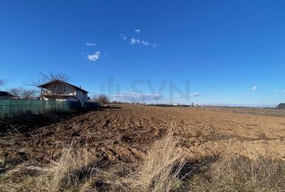 Teren agricol extravilan de 8100 mp, în Ciolpani - 4