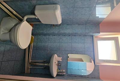 Proprietate multifunctionala com.D-va Rosie,casa+ spatiu comercial + teren - 15