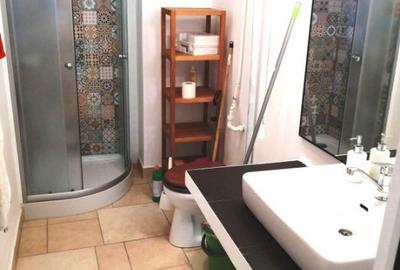 Inchiriere casa trei camere, zona Mosilor Armeneasca - 4