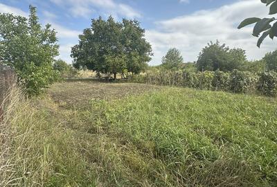 Teren de 1655 mp, în Aroneanu - 8