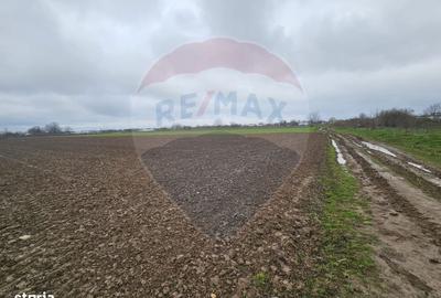 Spațiu comercial, în Adunații-Copăceni - 2