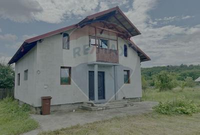 Casă cu potențial într-un cadru natural de excepție – Mares, Albota - 2