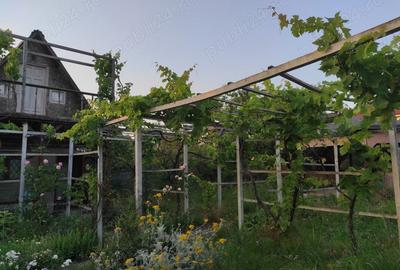 Casă cu 2 camere în Tuzla - 4