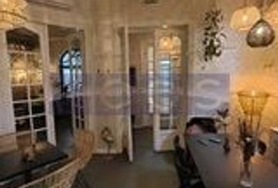 VILA EXCEPTIONALA PARCUL CAROL |  5 STUDIOURI | SPATIU HORECA FUNCTIONAL | - 1