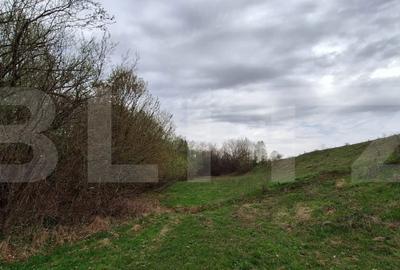 Spațiu comercial, în Vad - 2