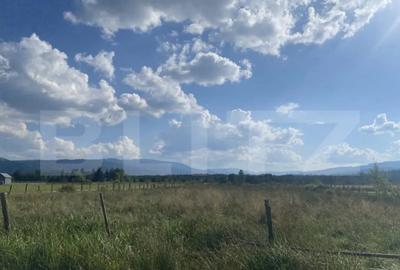 Teren de 3850 mp, în Central