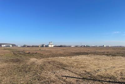 Pipera -Padurea Baneasa 5000m -C.U. Pipera -Padurea Baneasa 5000m -C.U. - 4