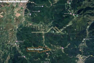 Spațiu comercial, în Părău - 6