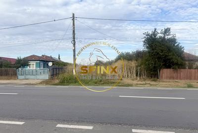 Teren Construcții intravilan de 3905 mp, în Manasia - 1