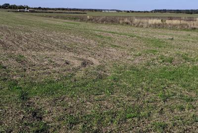Teren agricol extravilan de 5054 mp, în Săbăreni - 3