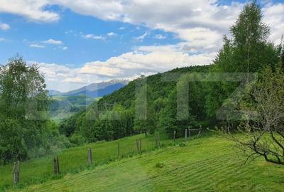 Casa de vacanta, pretabila pentru pensiune in Moieciu - 9