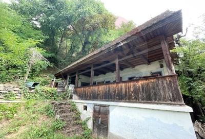 Casă de  lemn rustica, Sibiel - 2