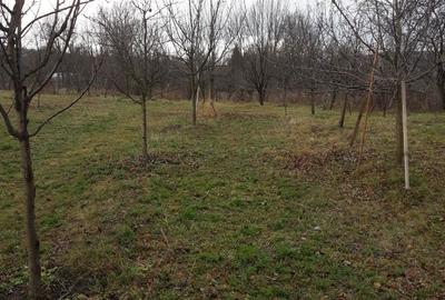 Casă cu 4 camere cu Teren 2900 Mp în Posești - 1