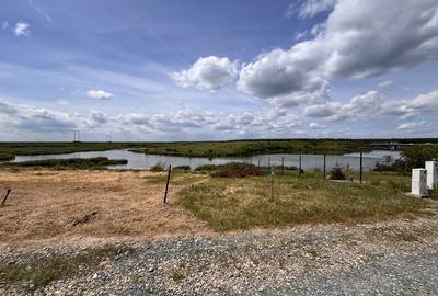 Teren de 450 mp, în Vadu Anei - 6