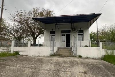 Casă cu 3 camere cu Teren 4000 Mp în Mihăești - 6