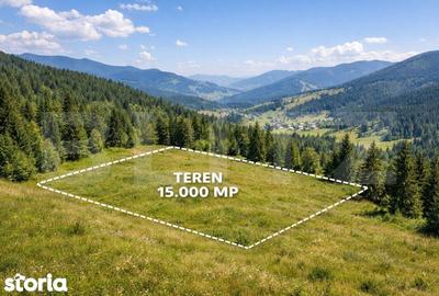 Teren de 15000 mp, în Panaci - 1