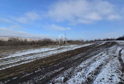 Teren arabil extravilan 21.700 Mp - 1