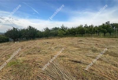 Teren intravilan 800 mp deschidere 40 ml Daia Noua - Sibiu - 3