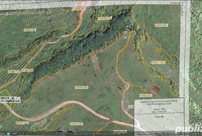 Teren de 55000 mp, în Slănic - 7