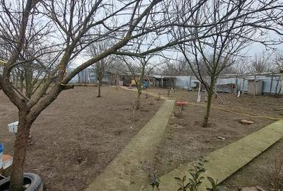 Casă cu 3 camere în Singureni - 5