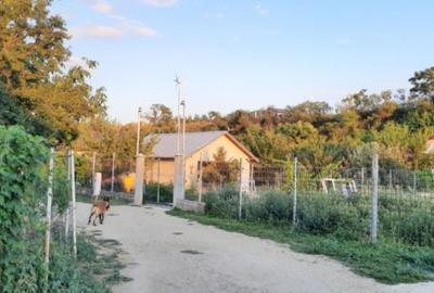 Casă cu 4 camere în Dărăști-Vlașca - 2