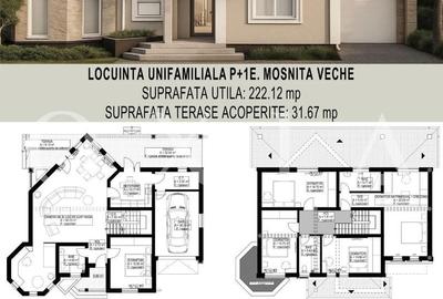 SX654 Mosnita Veche (Lidl) - Casa Individuala - 3