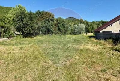 Teren de 3154 mp, în Bârsana - 2