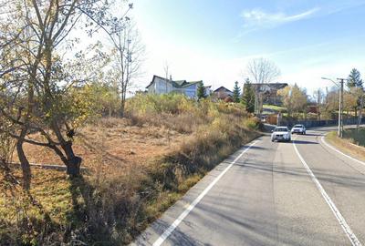 Teren Construcții intravilan de 30000 mp, în Moieciu de Jos - 4