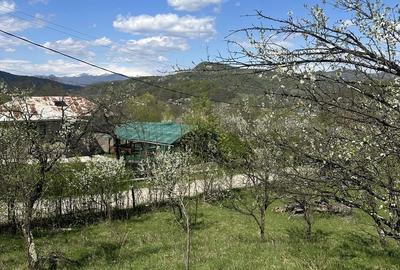 Spațiu comercial, de 2,035 mp, în Provița de Jos - 11