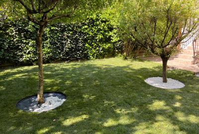 Apartament cu 3 camere decomandat în Floreasca - 3