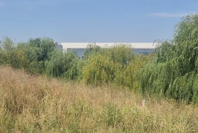 Teren Construcții intravilan de 16000 mp, în Tamași - 5