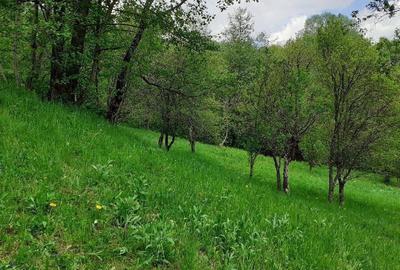 Teren de 5150 mp, în Șotrile - 9