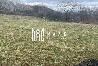 Teren Construcții intravilan de 2311 mp, în Vlădesti - 3