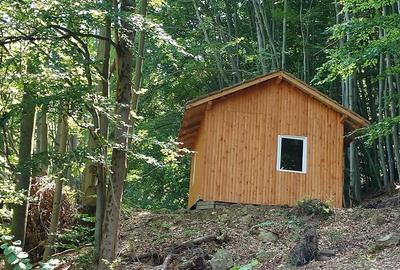 Teren montan cu priveliste si izvor - 5727mp in Buces, langa padure Teren montan cu priveliste si izvor - 5727mp in Buces, langa padure - 13